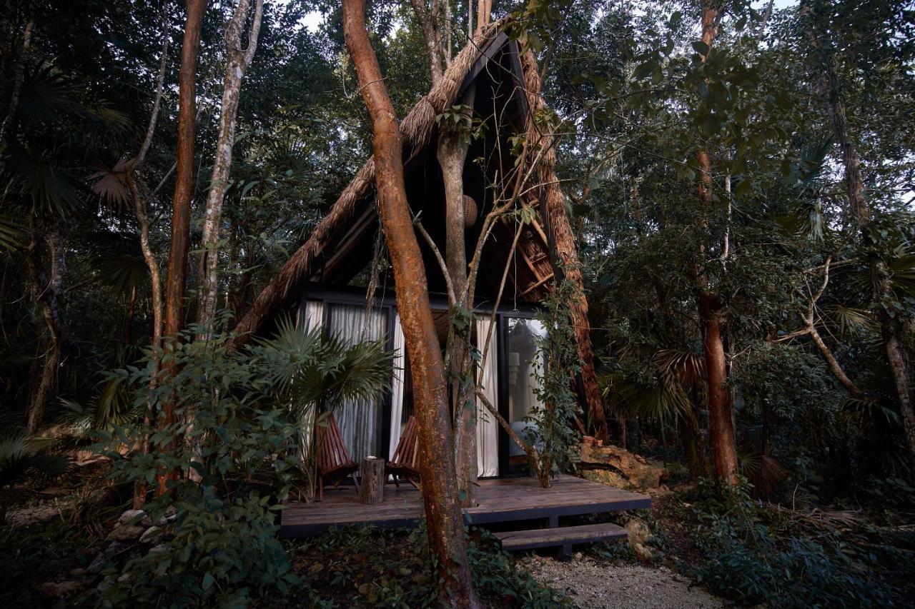Kapok Bacalar - Plant Based Hotel Buenavista  Extérieur photo