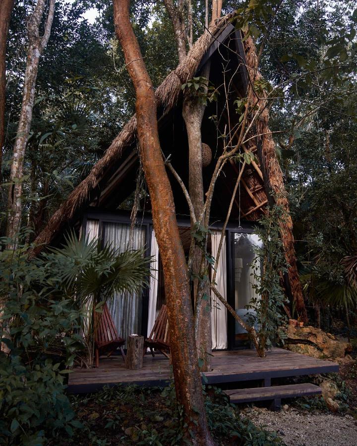 Kapok Bacalar - Plant Based Hotel Buenavista  Extérieur photo