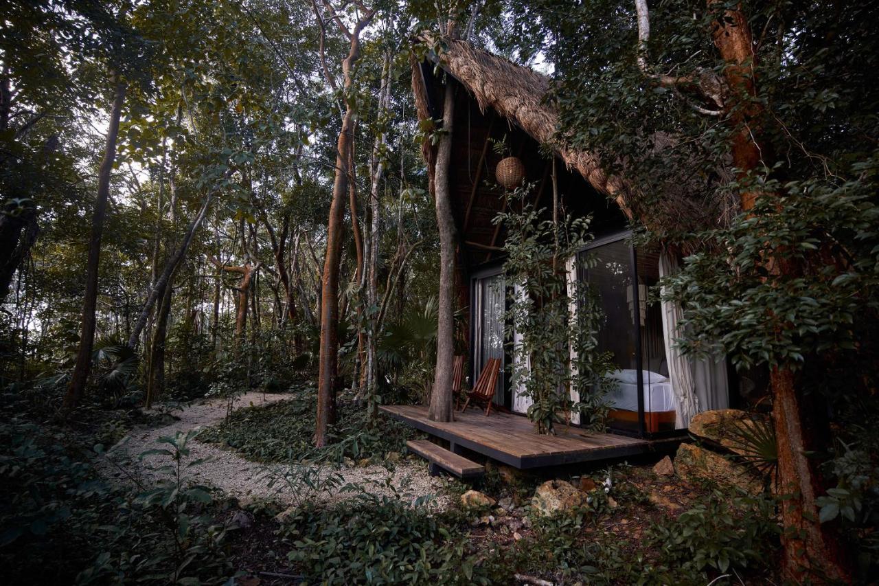 Kapok Bacalar - Plant Based Hotel Buenavista  Extérieur photo